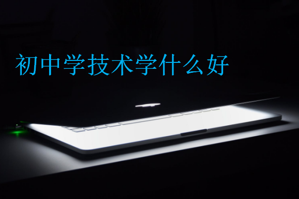 初中學技術(shù)學什么好