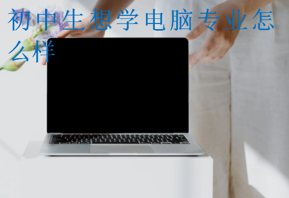 初中生想學(xué)電腦專(zhuān)業(yè)怎么樣