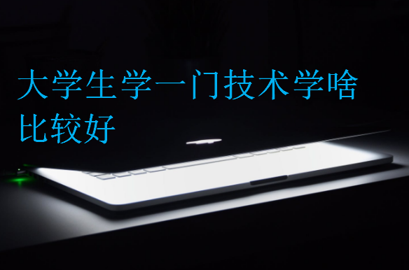 大學(xué)生學(xué)一門技術(shù)學(xué)啥比較好