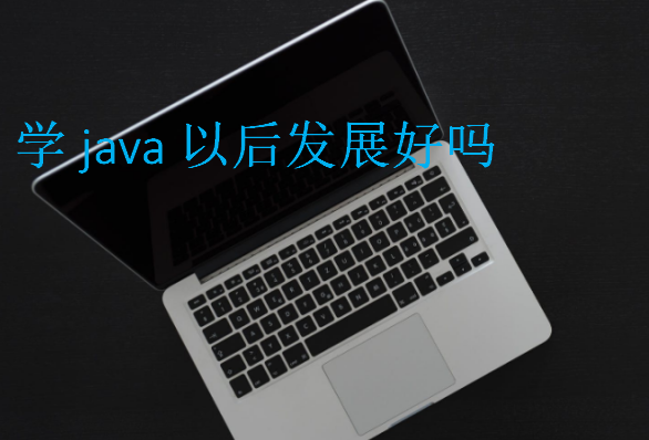 學(xué)java以后發(fā)展好嗎