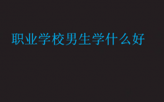 職業(yè)學(xué)校男生學(xué)什么好(男生職校學(xué)什么專業(yè)好?)