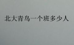 2023年北大青鳥一個班多少人(北大青鳥有多少人)