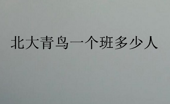 北大青鳥一個(gè)班多少人