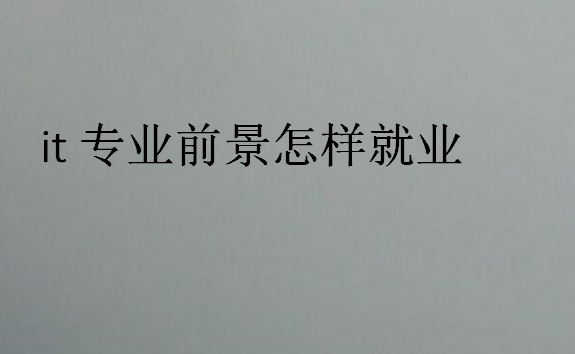 it專業(yè)前景怎樣就業(yè)