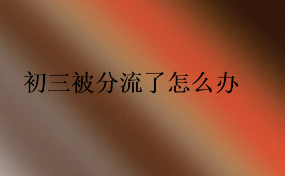 初三被分流了怎么辦